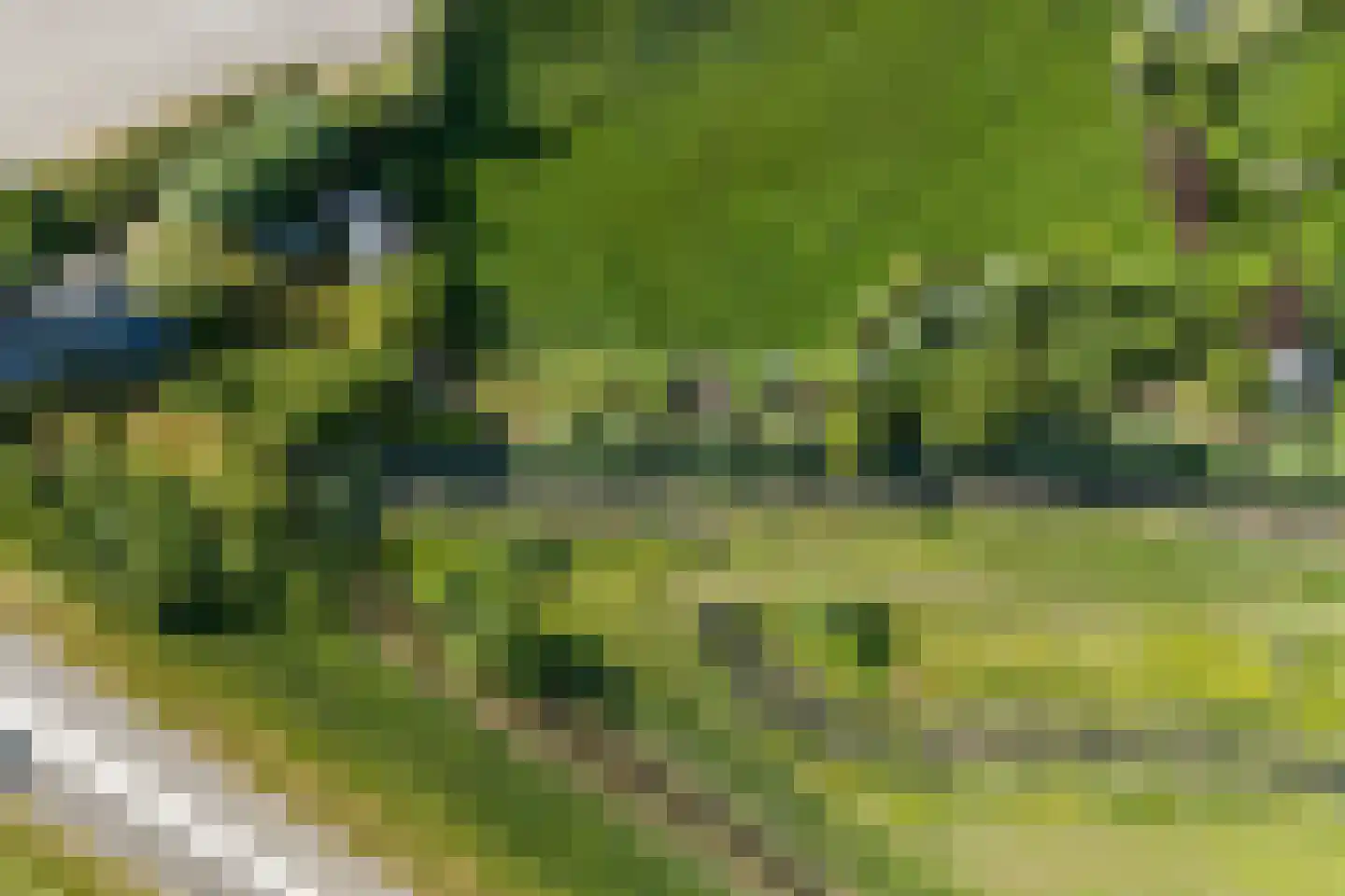 Meidijk 17 Zuilichem thumbnail 75
