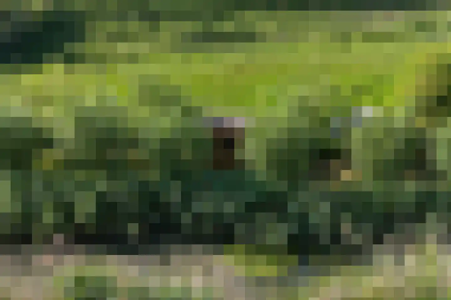 Meidijk 17 Zuilichem thumbnail 78