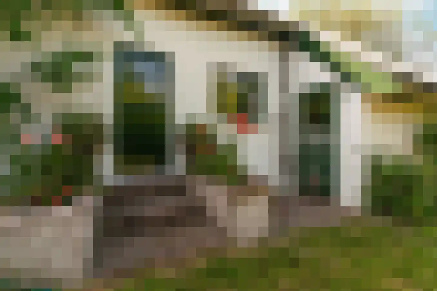 Meidijk 17 Zuilichem thumbnail 9