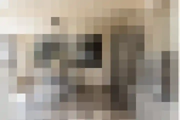 Meidijk 6 Zuilichem thumbnail 10