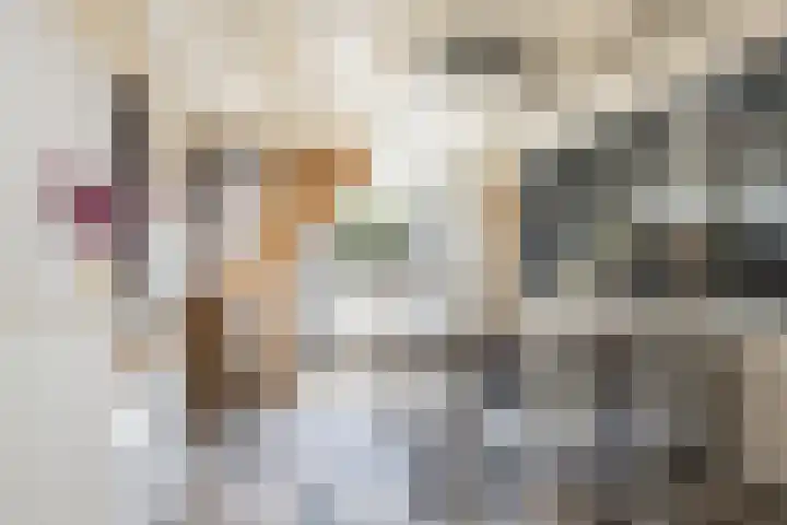 Meidijk 6 Zuilichem thumbnail 11
