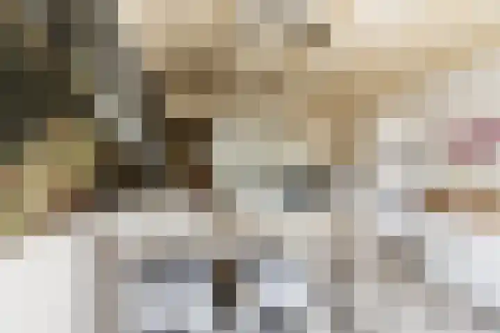 Meidijk 6 Zuilichem thumbnail 12