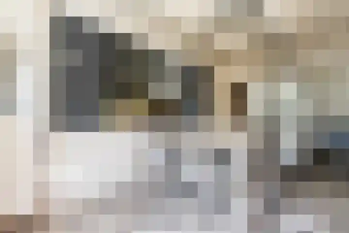 Meidijk 6 Zuilichem thumbnail 13