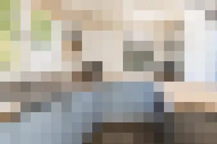 Meidijk 6 Zuilichem thumbnail 14
