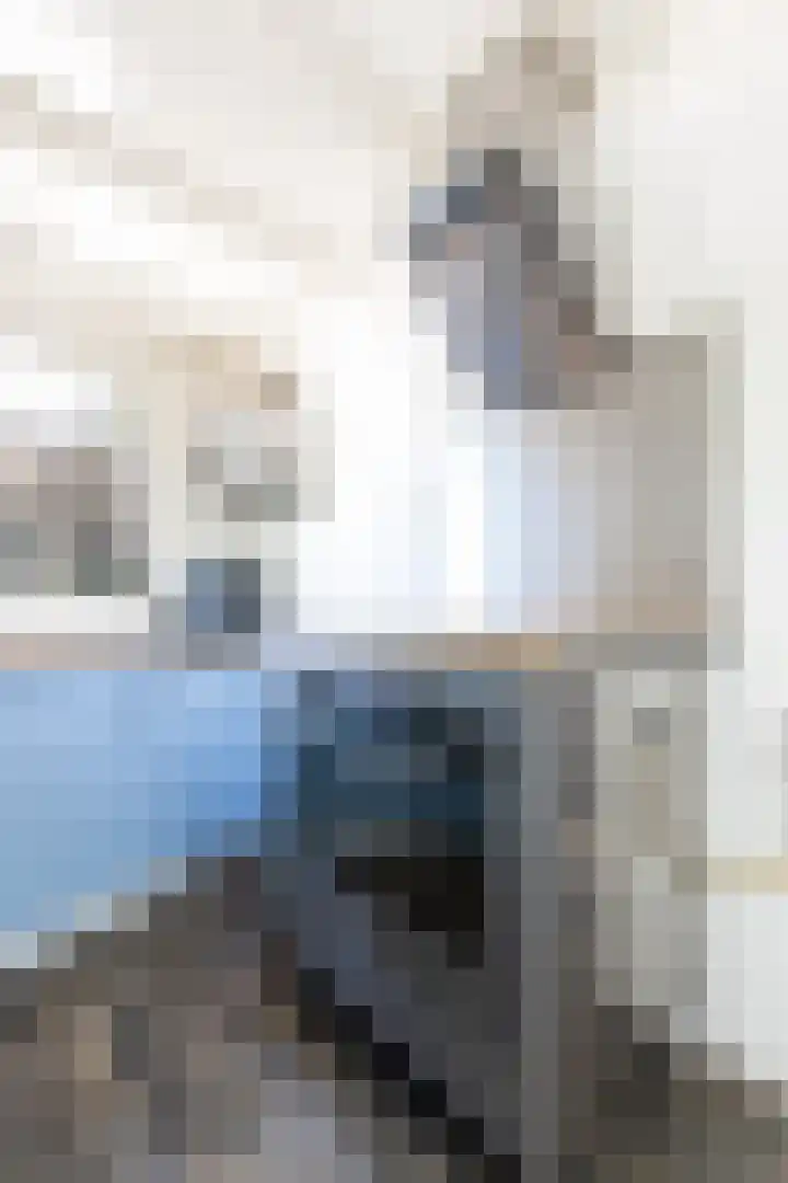 Meidijk 6 Zuilichem thumbnail 15