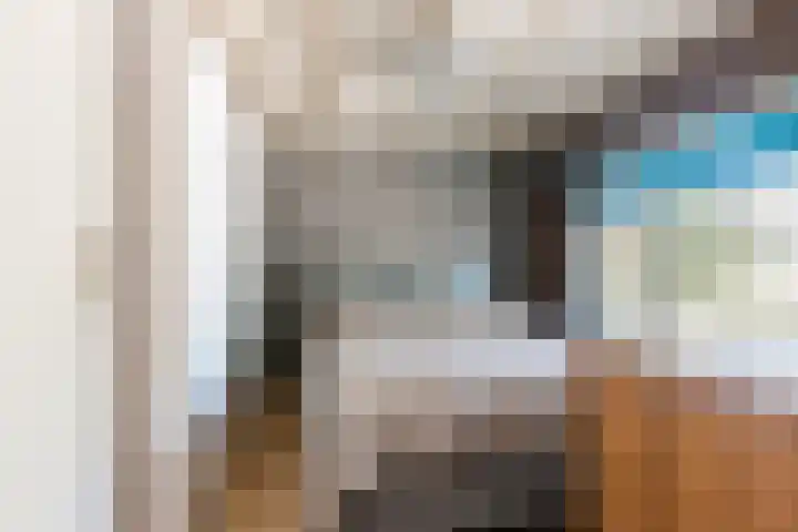Meidijk 6 Zuilichem thumbnail 19