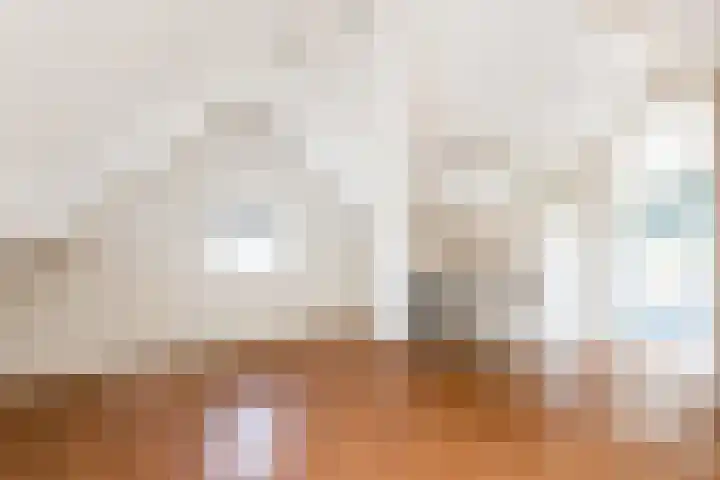 Meidijk 6 Zuilichem thumbnail 33
