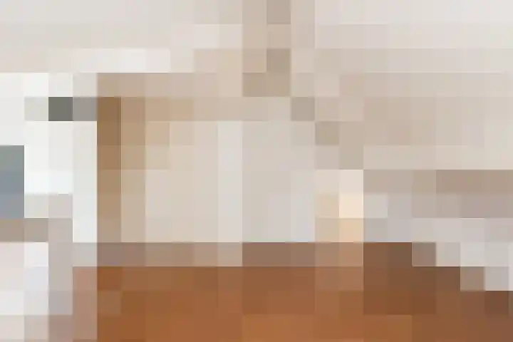 Meidijk 6 Zuilichem thumbnail 34