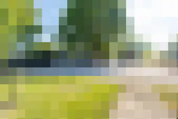 Meidijk 6 Zuilichem thumbnail 42