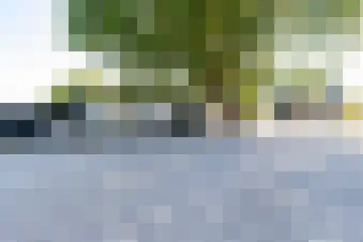 Meidijk 6 Zuilichem thumbnail 44