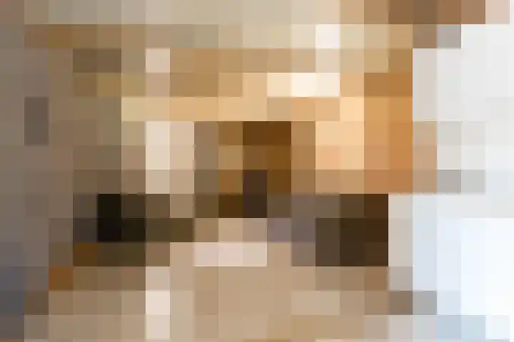 Meidijk 6 Zuilichem thumbnail 46