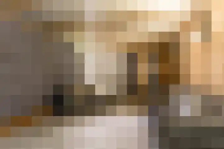Meidijk 6 Zuilichem thumbnail 47