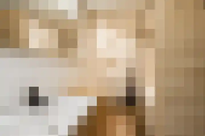 Meidijk 6 Zuilichem thumbnail 51