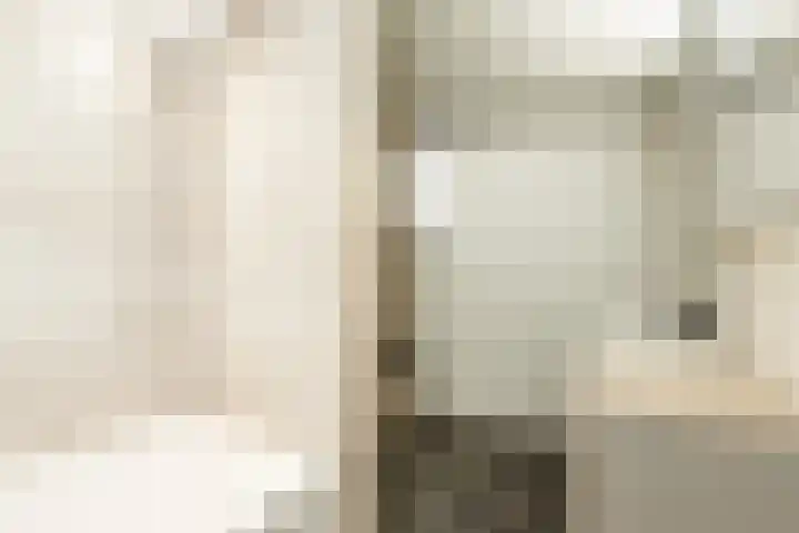 Meidijk 6 Zuilichem thumbnail 53