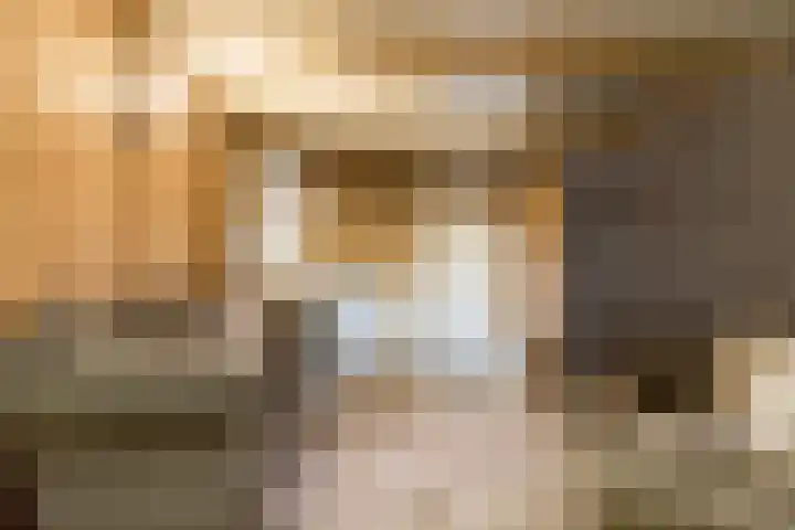 Meidijk 6 Zuilichem thumbnail 54