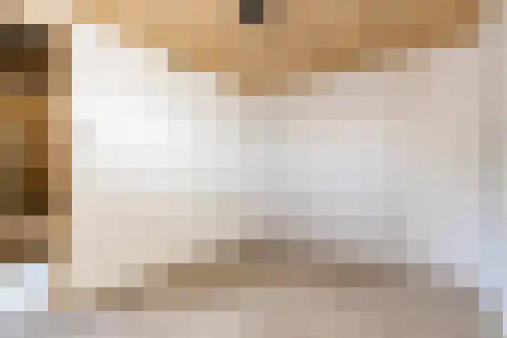 Meidijk 6 Zuilichem thumbnail 55