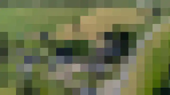 Meidijk 6 Zuilichem thumbnail 58