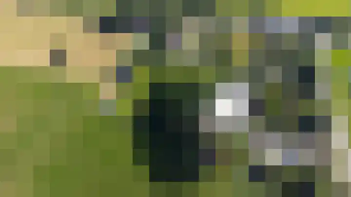 Meidijk 6 Zuilichem thumbnail 59