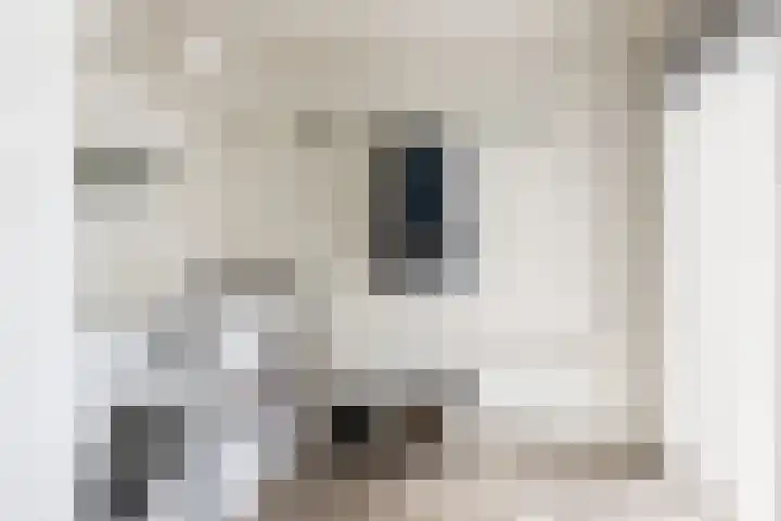 Meidijk 6 Zuilichem thumbnail 6