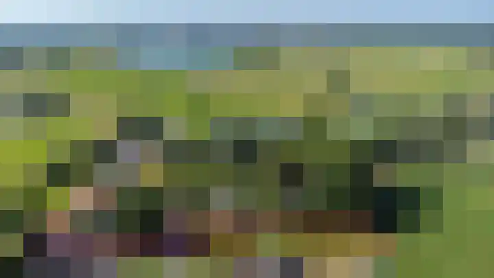 Meidijk 6 Zuilichem thumbnail 62