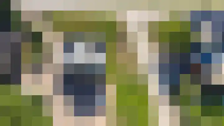 Meidijk 6 Zuilichem thumbnail 63