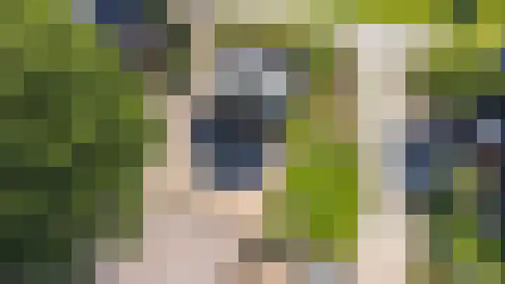 Meidijk 6 Zuilichem thumbnail 64