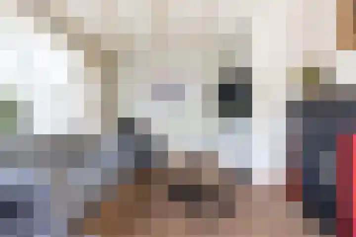 Meidijk 6 Zuilichem thumbnail 8
