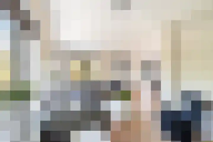 Meidoorn 1 Poortugaal thumbnail 11