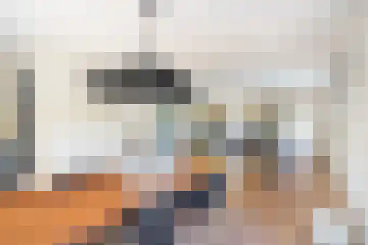 Meidoorn 1 Poortugaal thumbnail 14