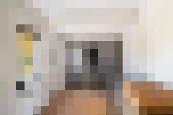 Meidoorn 1 Poortugaal thumbnail 15