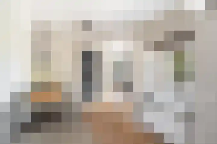 Meidoorn 1 Poortugaal thumbnail 16