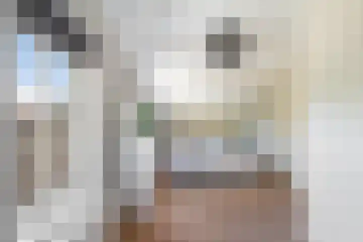 Meidoorn 1 Poortugaal thumbnail 17