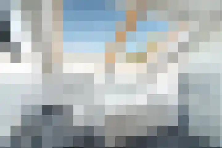 Meidoorn 1 Poortugaal thumbnail 19