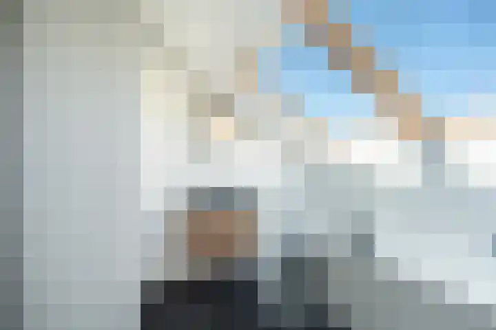 Meidoorn 1 Poortugaal thumbnail 20