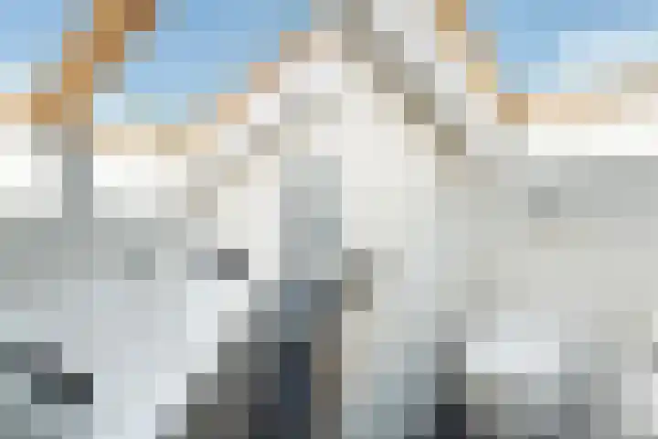 Meidoorn 1 Poortugaal thumbnail 21