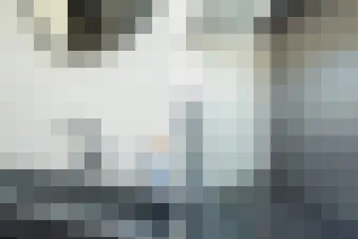 Meidoorn 1 Poortugaal thumbnail 22