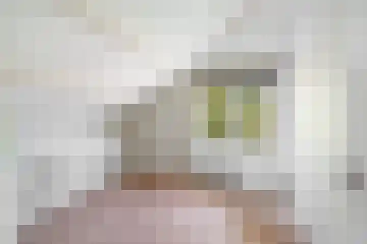 Meidoorn 1 Poortugaal thumbnail 25