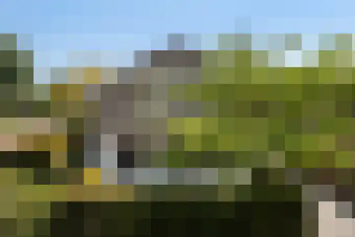 Meidoorn 1 Poortugaal thumbnail 27