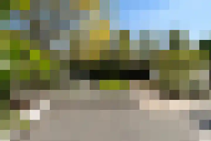 Meidoorn 1 Poortugaal thumbnail 28