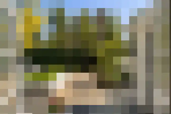 Meidoorn 1 Poortugaal thumbnail 30