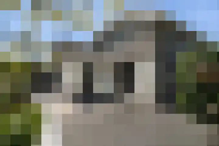 Meidoorn 1 Poortugaal thumbnail 31