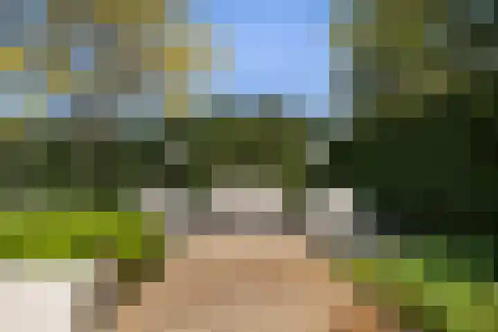 Meidoorn 1 Poortugaal thumbnail 32