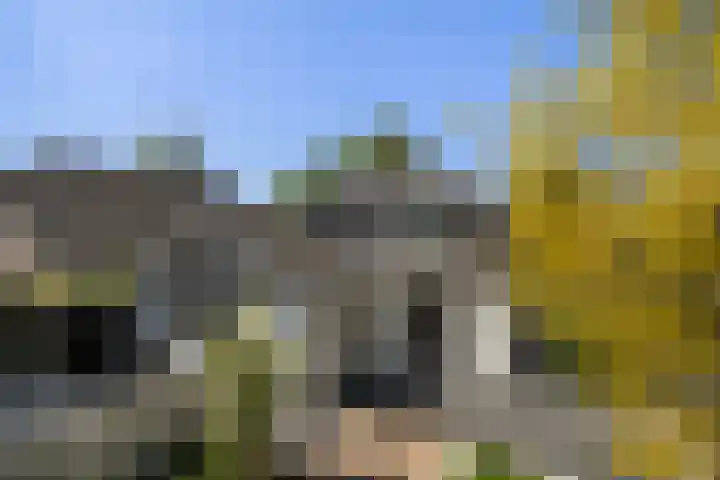 Meidoorn 1 Poortugaal thumbnail 34