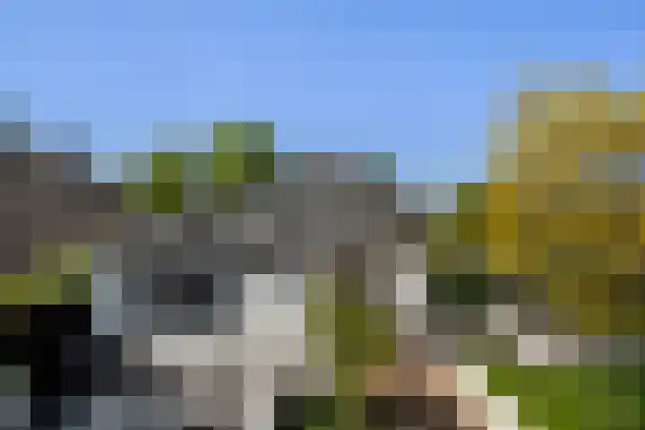 Meidoorn 1 Poortugaal thumbnail 35