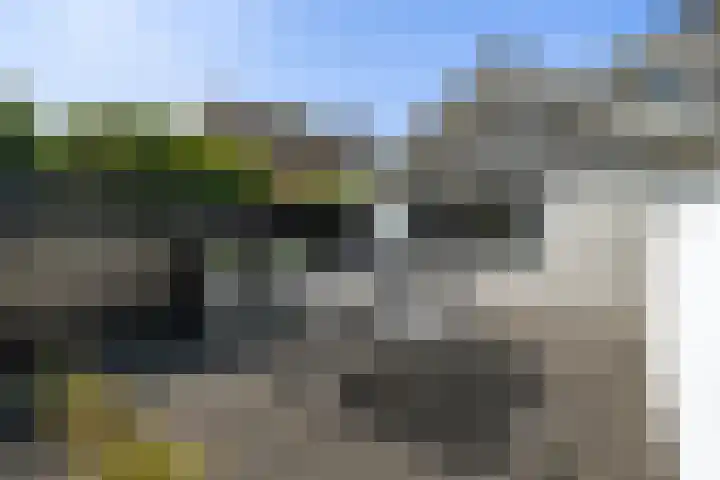 Meidoorn 1 Poortugaal thumbnail 36