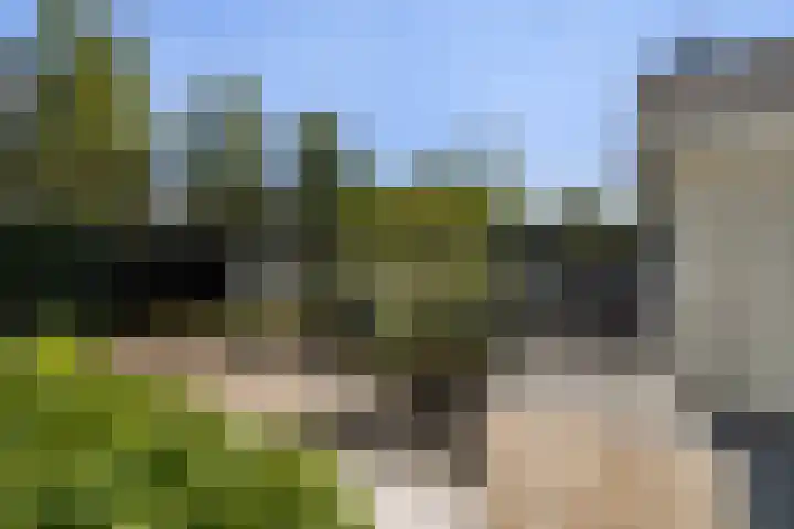 Meidoorn 1 Poortugaal thumbnail 37