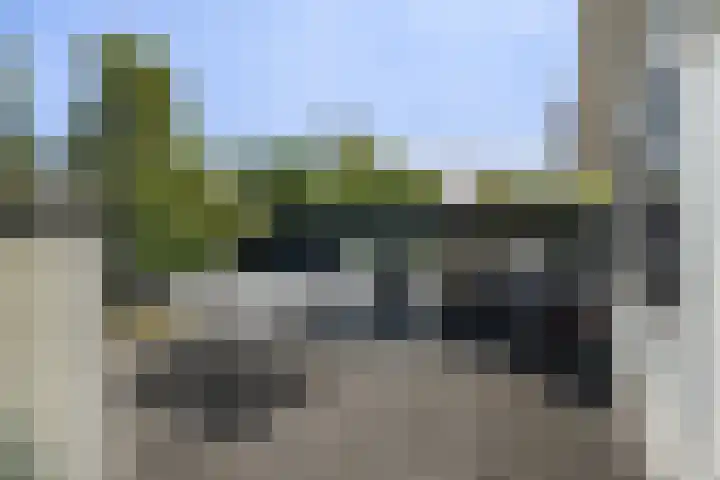 Meidoorn 1 Poortugaal thumbnail 38