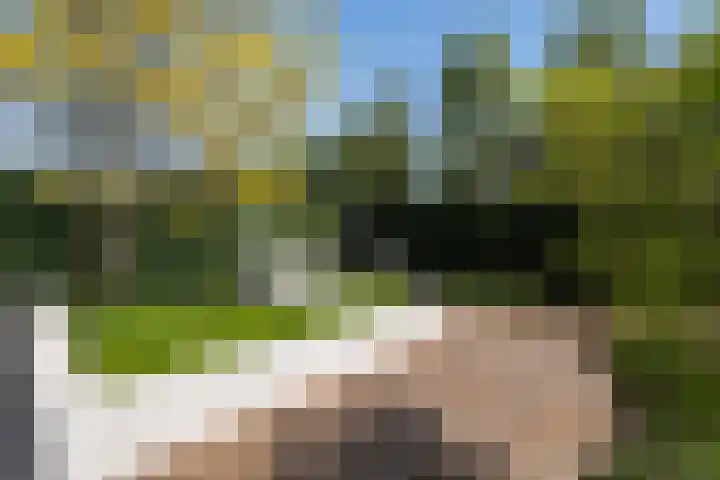 Meidoorn 1 Poortugaal thumbnail 39