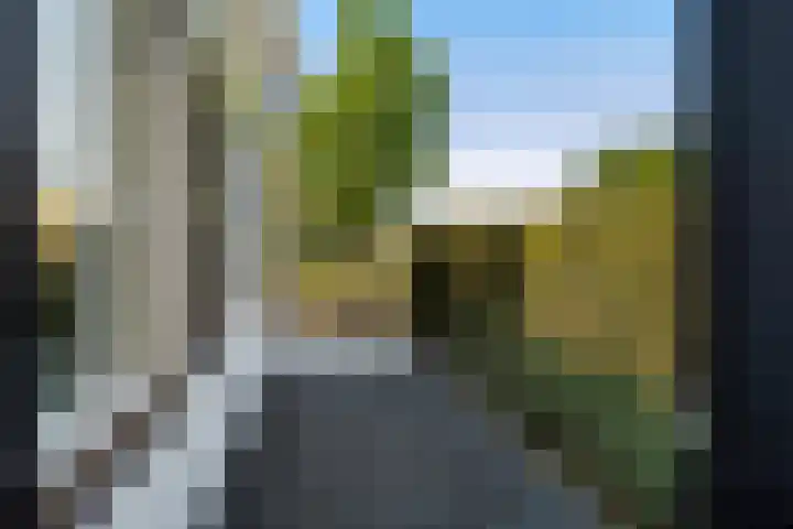 Meidoorn 1 Poortugaal thumbnail 40