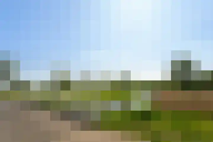 Meidoorn 1 Poortugaal thumbnail 41